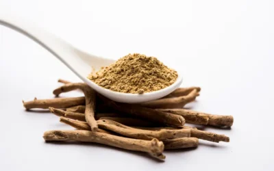 Ashwagandha and Alcohol Withdrawal: How This Herb Can Support Your Journey