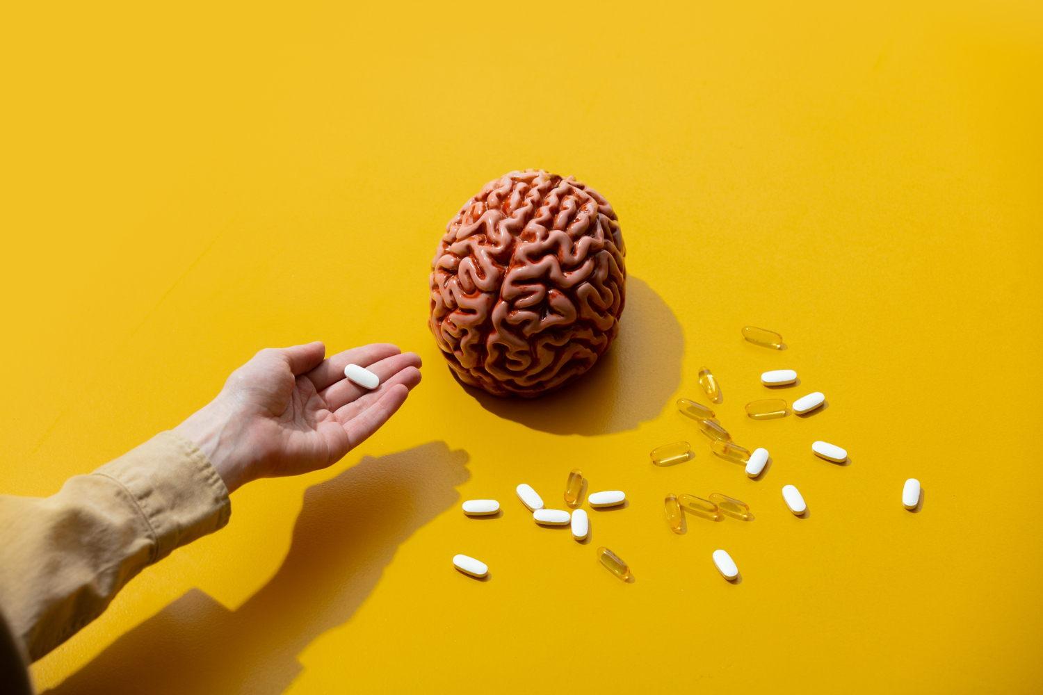 Supplements for Alzheimer's and Brain Health